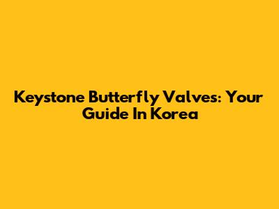 Keystone Butterfly Valves: Your Guide In Korea