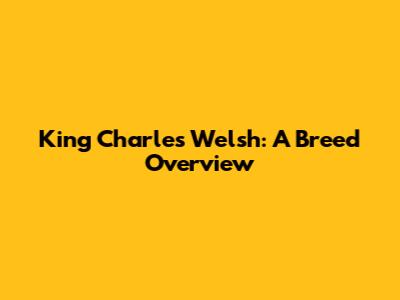 King Charles Welsh: A Breed Overview