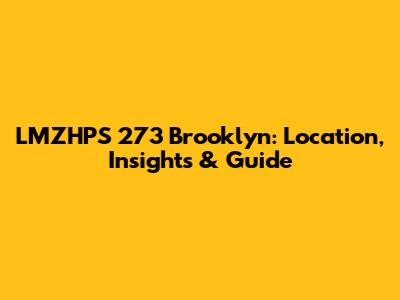 LMZHPS 273 Brooklyn: Location, Insights & Guide