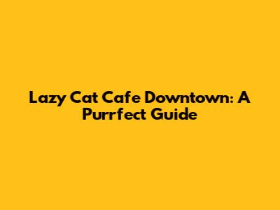 Lazy Cat Cafe Downtown: A Purrfect Guide