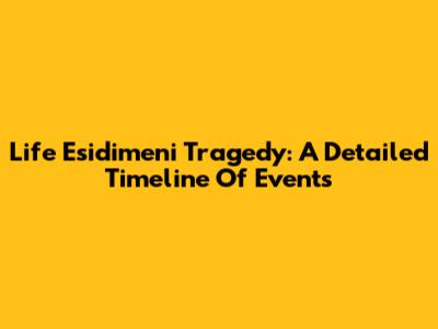 Life Esidimeni Tragedy: A Detailed Timeline Of Events