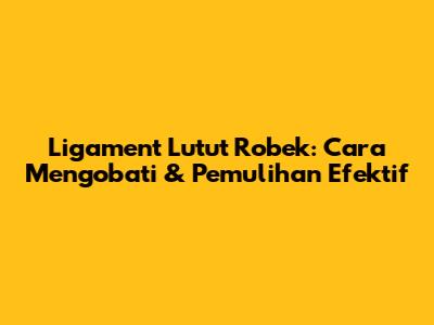 Ligament Lutut Robek: Cara Mengobati & Pemulihan Efektif