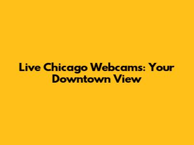 Live Chicago Webcams: Your Downtown View