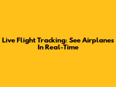 Live Flight Tracking: See Airplanes In Real-Time