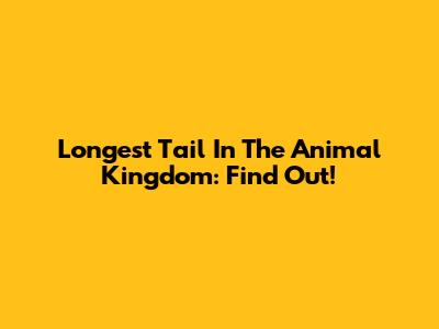 Longest Tail In The Animal Kingdom: Find Out!
