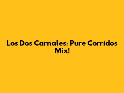Los Dos Carnales: Pure Corridos Mix!