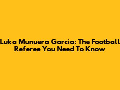 Luka Munuera Garcia: The Football Referee You Need To Know