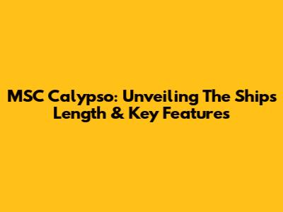 MSC Calypso: Unveiling The Ship's Length & Key Features