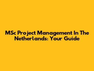 MSc Project Management In The Netherlands: Your Guide