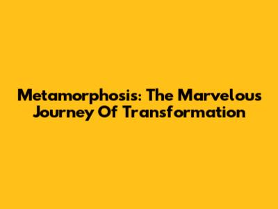 Metamorphosis: The Marvelous Journey Of Transformation