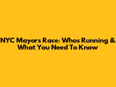 NYC Mayor's Race: Who's Running & What You Need To Know