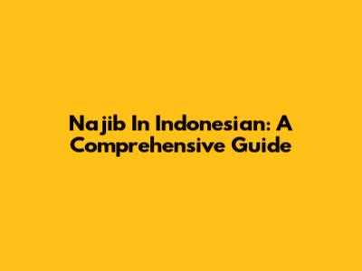 Najib In Indonesian: A Comprehensive Guide