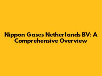 Nippon Gases Netherlands BV: A Comprehensive Overview