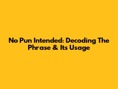 No Pun Intended: Decoding The Phrase & Its Usage