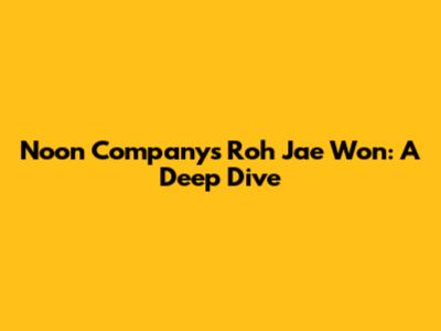 Noon Company's Roh Jae Won: A Deep Dive