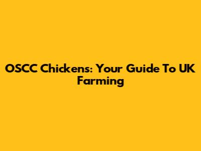 OSCC Chickens: Your Guide To UK Farming