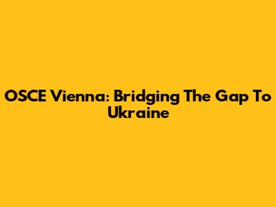 OSCE Vienna: Bridging The Gap To Ukraine