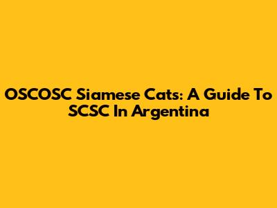 OSCOSC Siamese Cats: A Guide To SCSC In Argentina