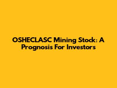 OSHECLASC Mining Stock: A Prognosis For Investors