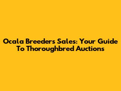Ocala Breeders' Sales: Your Guide To Thoroughbred Auctions