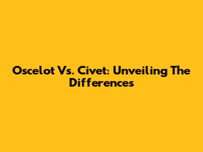 Oscelot Vs. Civet: Unveiling The Differences
