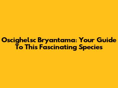 Oscighelsc Bryantama: Your Guide To This Fascinating Species