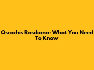 Oscochis Rosdiana: What You Need To Know