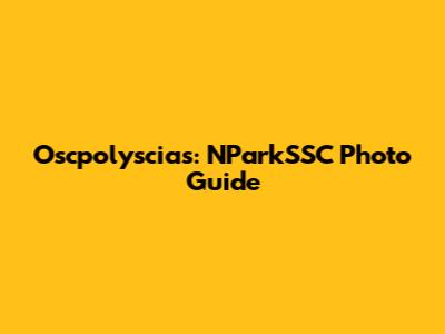 Oscpolyscias: NParkSSC Photo Guide