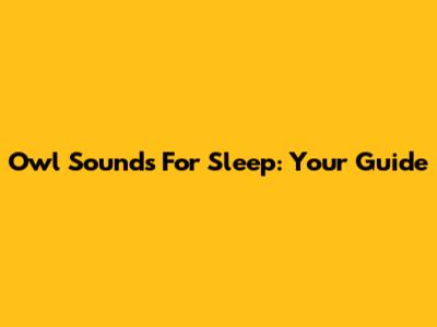 Owl Sounds For Sleep: Your Guide