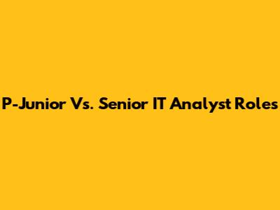 P-Junior Vs. Senior IT Analyst Roles