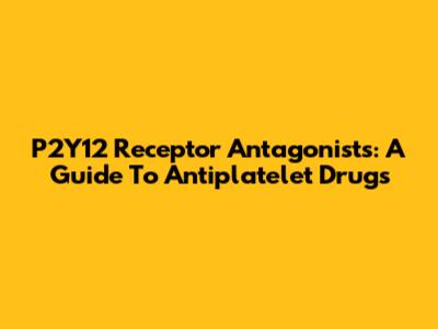 P2Y12 Receptor Antagonists: A Guide To Antiplatelet Drugs