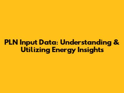 PLN Input Data: Understanding & Utilizing Energy Insights