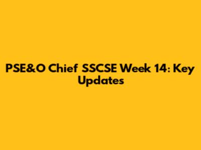 PSE&O Chief SSCSE Week 14: Key Updates