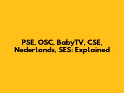 PSE, OSC, BabyTV, CSE, Nederlands, SES: Explained