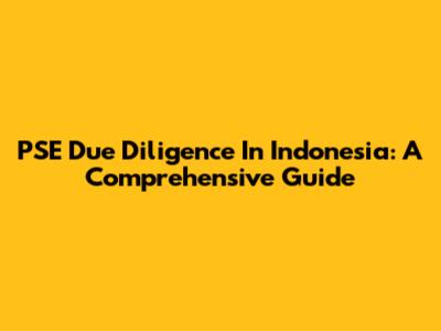 PSE Due Diligence In Indonesia: A Comprehensive Guide