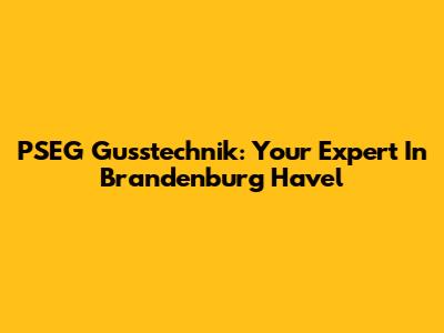 PSEG Gusstechnik: Your Expert In Brandenburg Havel