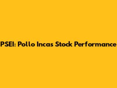 PSEI: Pollo Inca's Stock Performance
