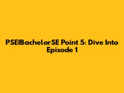PSEIBachelorSE Point 5: Dive Into Episode 1