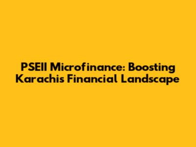 PSEII Microfinance: Boosting Karachi's Financial Landscape