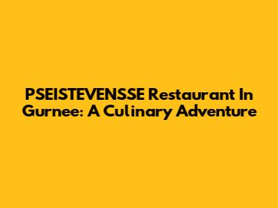 PSEISTEVENSSE Restaurant In Gurnee: A Culinary Adventure