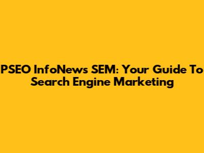 PSEO InfoNews SEM: Your Guide To Search Engine Marketing