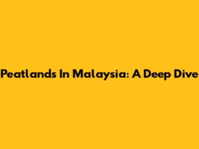 Peatlands In Malaysia: A Deep Dive