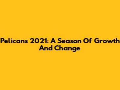 Pelicans 2021: A Season Of Growth And Change