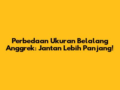 Perbedaan Ukuran Belalang Anggrek: Jantan Lebih Panjang!
