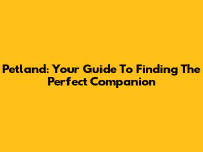 Petland: Your Guide To Finding The Perfect Companion
