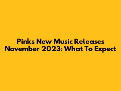 Pink's New Music Releases November 2023: What To Expect