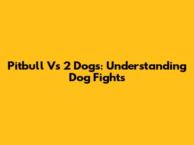 Pitbull Vs 2 Dogs: Understanding Dog Fights