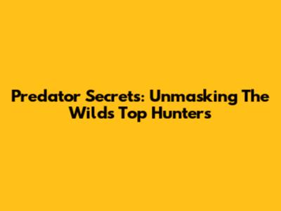 Predator Secrets: Unmasking The Wild's Top Hunters