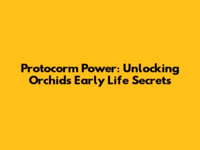 Protocorm Power: Unlocking Orchid's Early Life Secrets