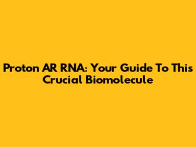 Proton AR RNA: Your Guide To This Crucial Biomolecule